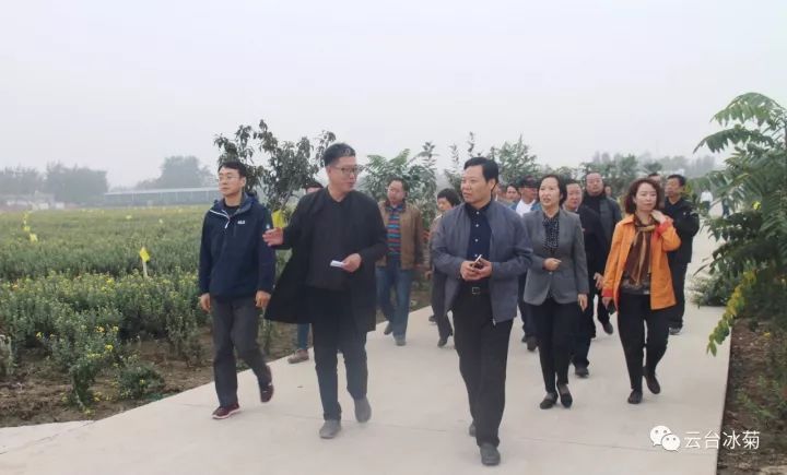 云臺冰菊基地發(fā)生了什么？一批批領(lǐng)導專家團隊前來！